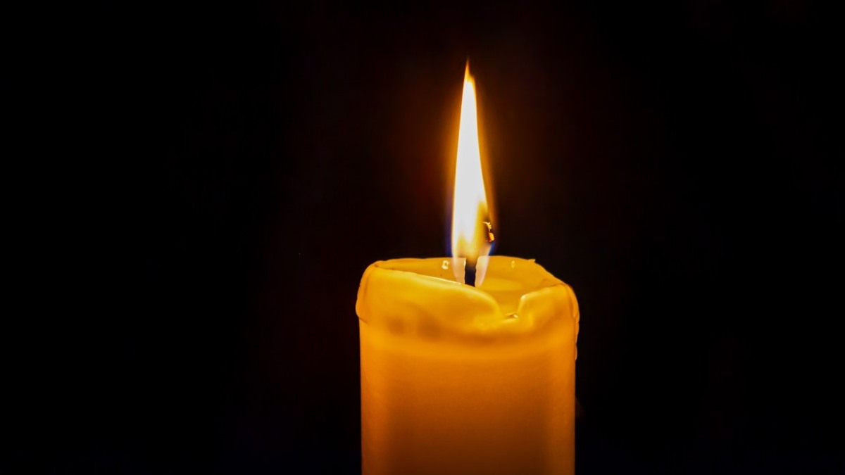 Фото: pixabay.com