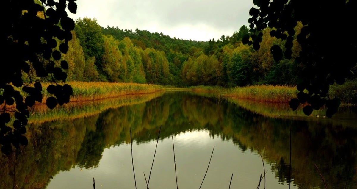 Фото: pixabay.com