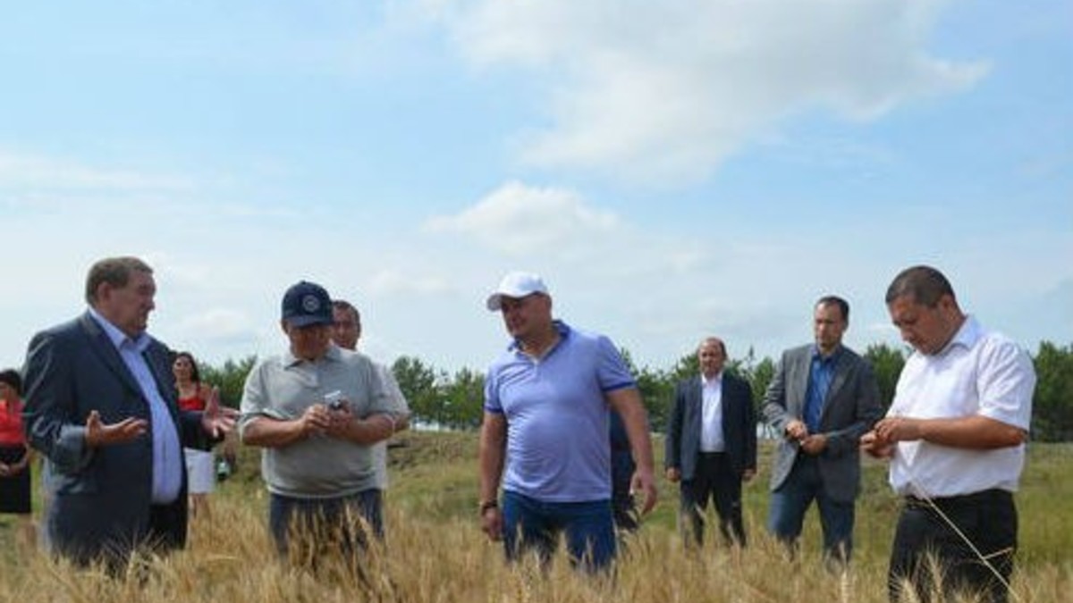 Фото: agro.tatarstan.ru