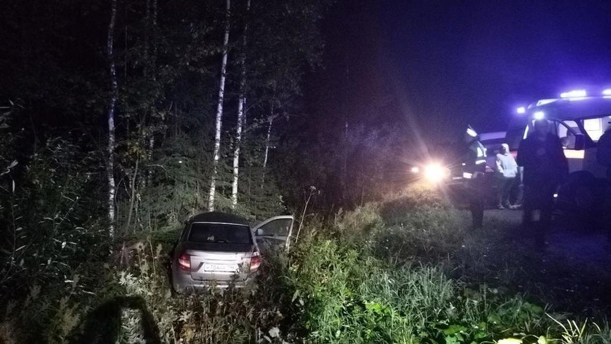 В Свердловской области водитель погиб после столкновения с лосем — РБК