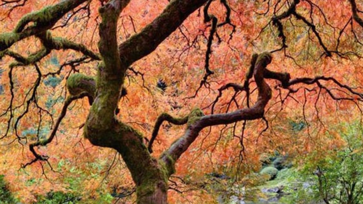 Фото: 123rf.com