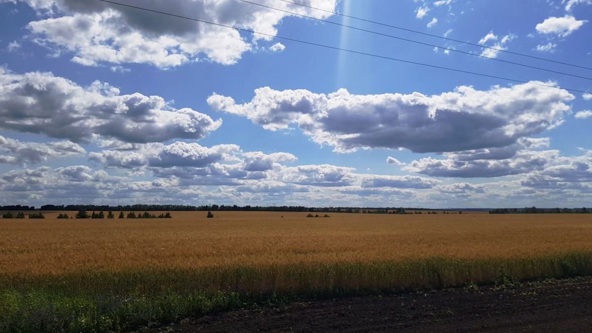 Фото: РБК Черноземье