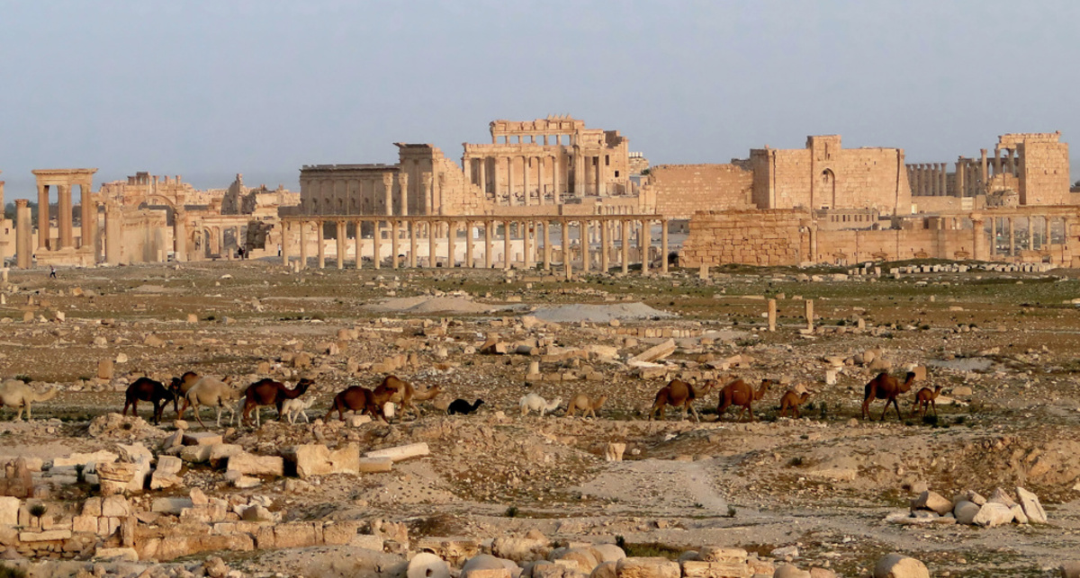 Фото: Site of Palmyra © Silvan Rehfeld
