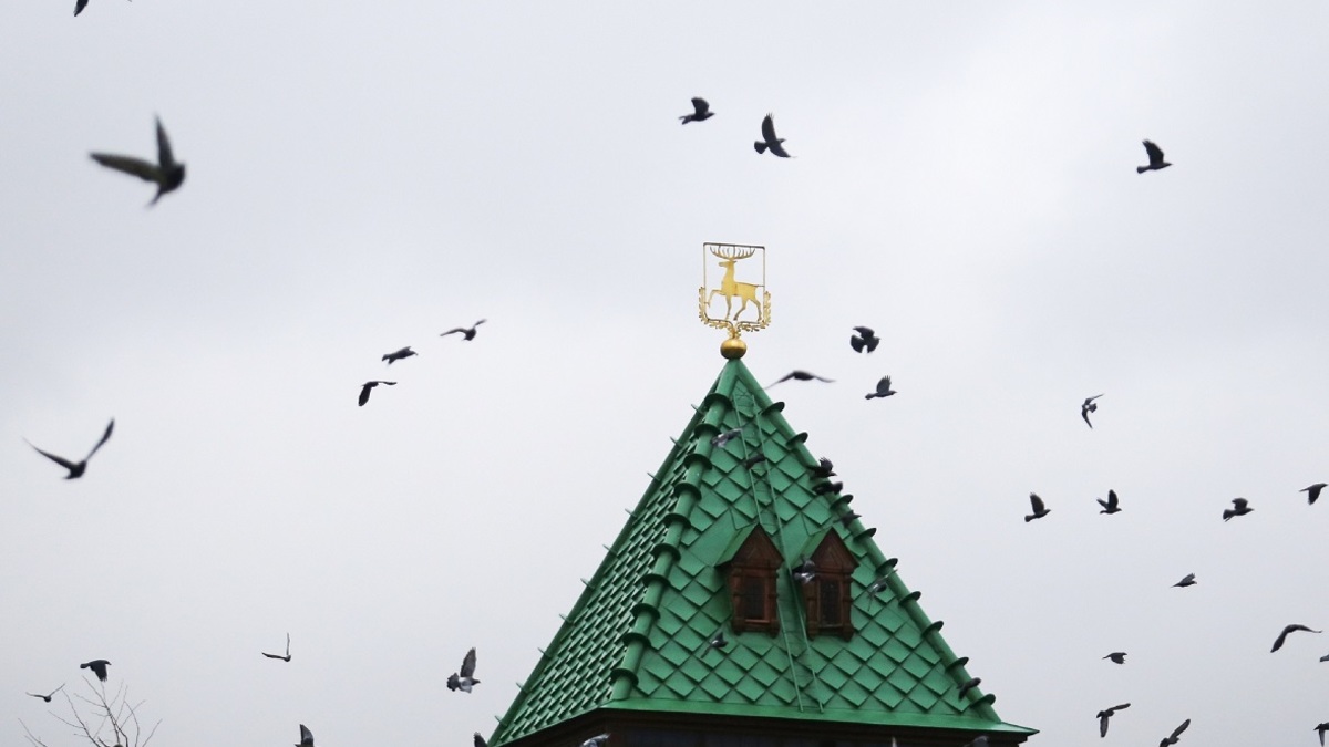 Фото: Анастасия Макарычева/РБК