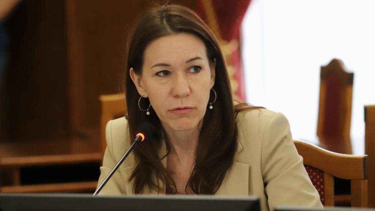 Елена Тырина (Фото: пресс-служба Заксобрания Новосибирской области)