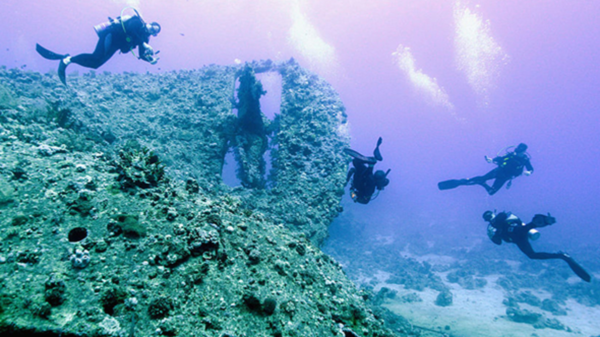 Фото: gettyimages.com; facebook.com/Sea-Search-Armada