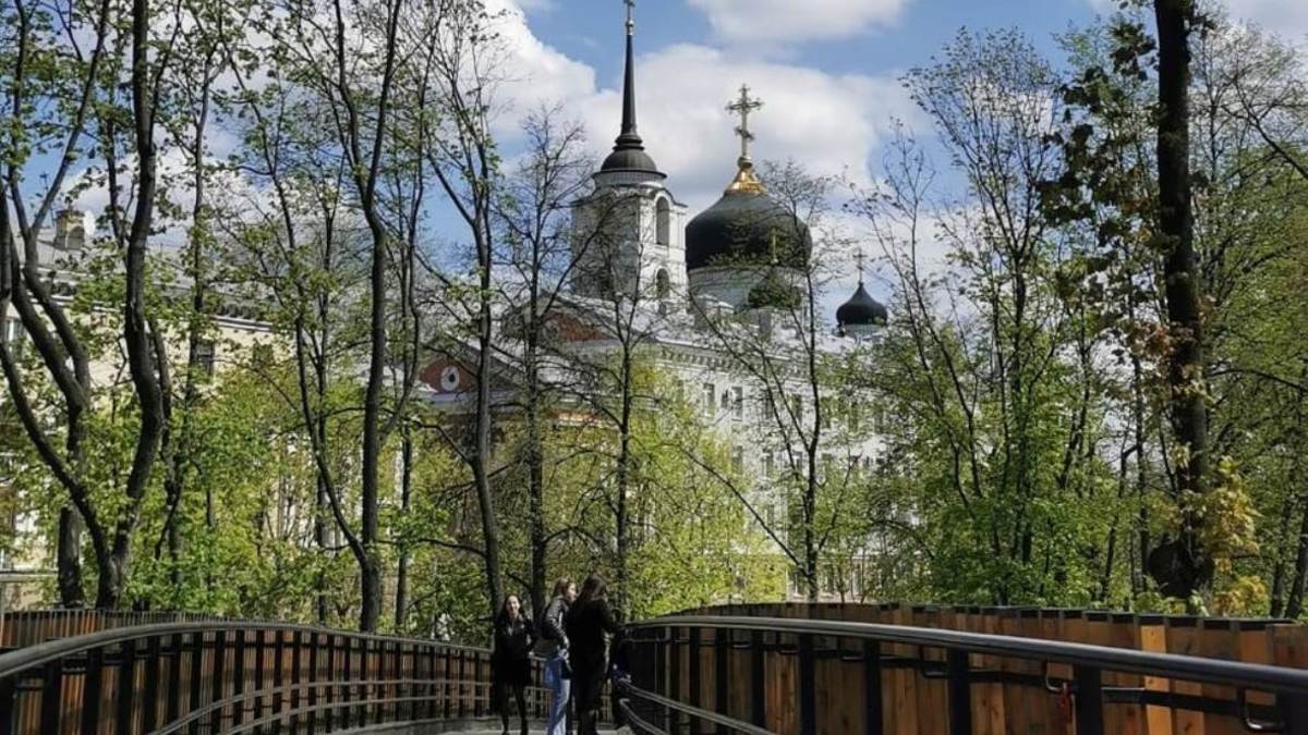 В Воронежской области не хватает ключевых объектов, которые привлекали бы  внимание туристов — например, колеса обозрения в центре города или  аквапарка — РБК