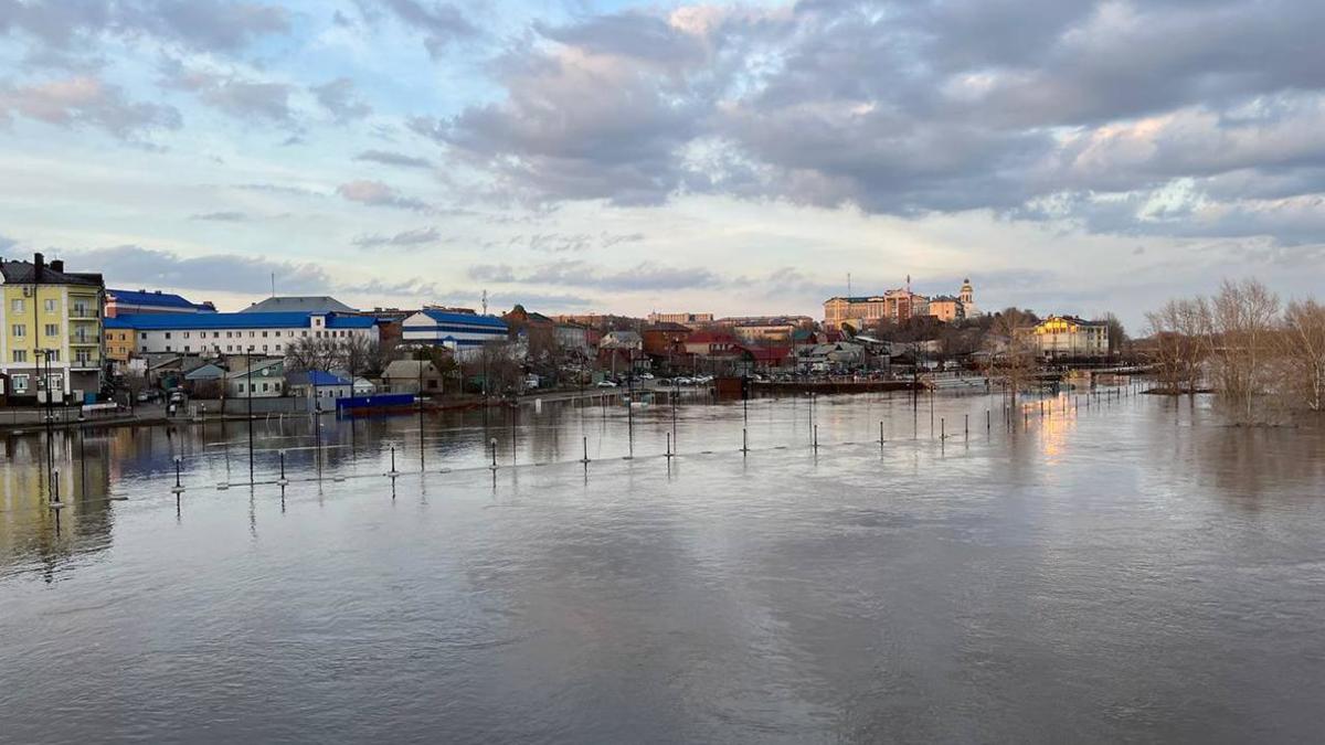 В Оренбурге за ночь уровень воды поднялся почти на 50 см — РБК