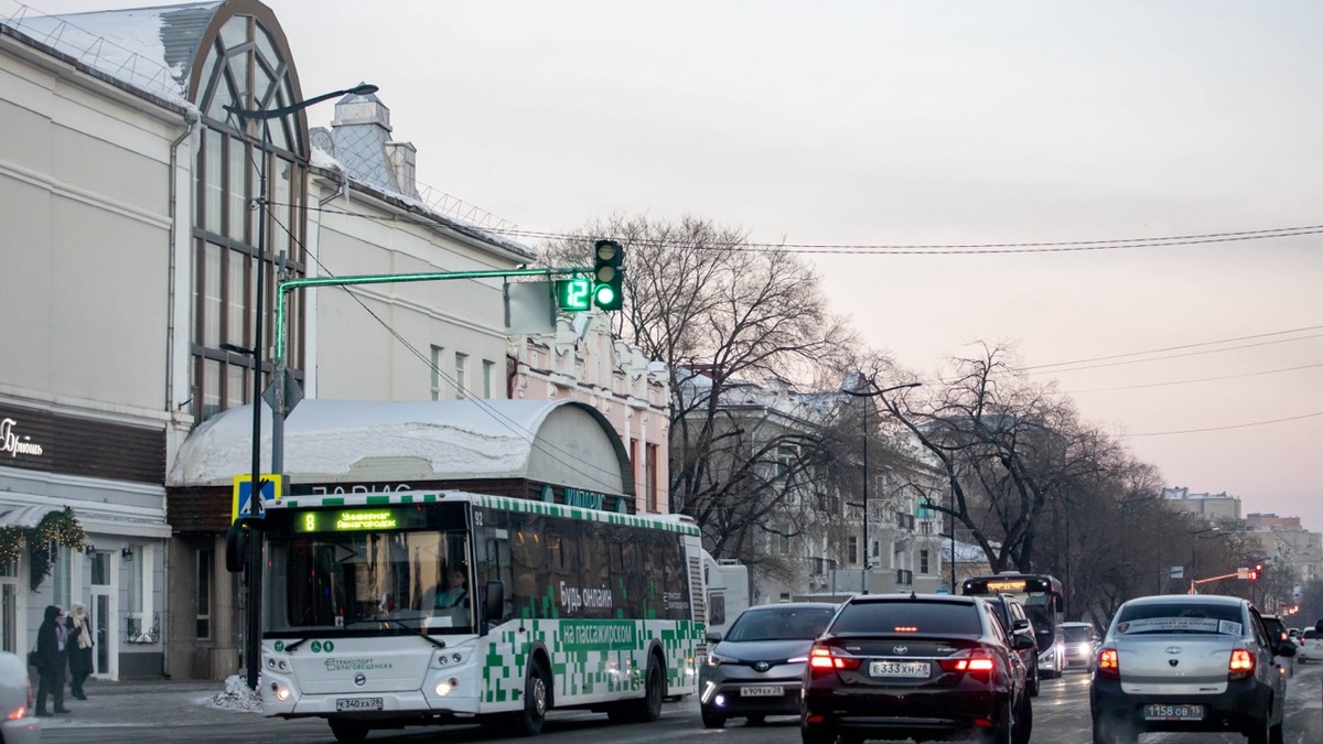 Фото: Администрация Благовещенска