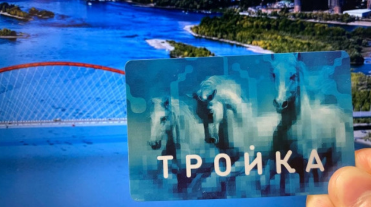 Фото: Никита Грачев / РБК Новосибирск