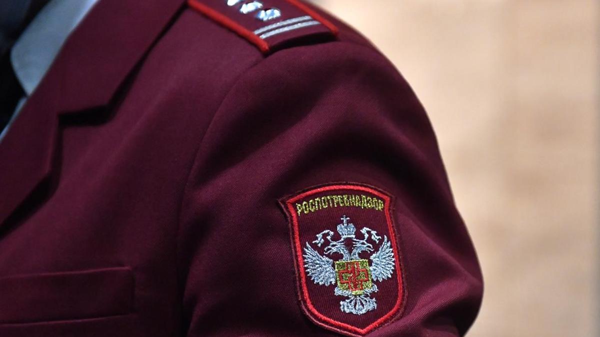 Фото: Павел Бедняков / РИА Новости