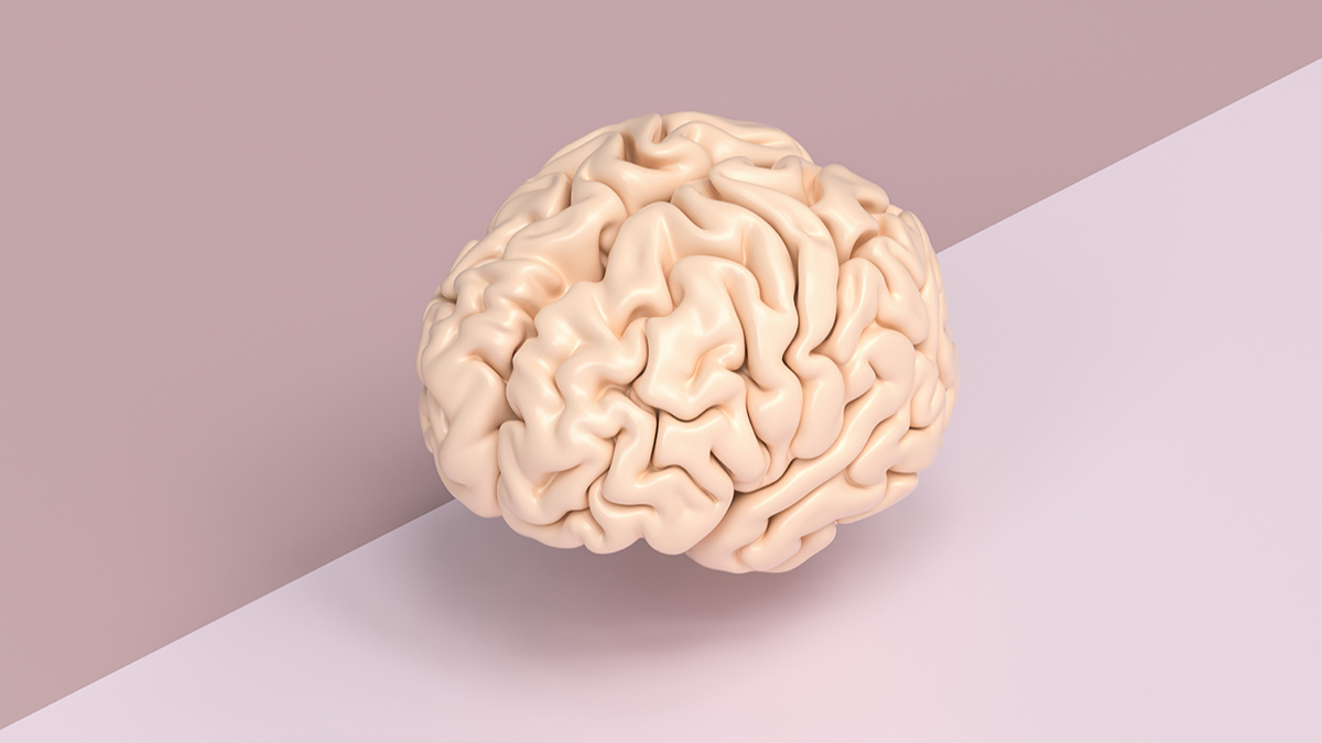 Что полезно и вредно для мозга: интервью профессора Данилова | РБК Стиль