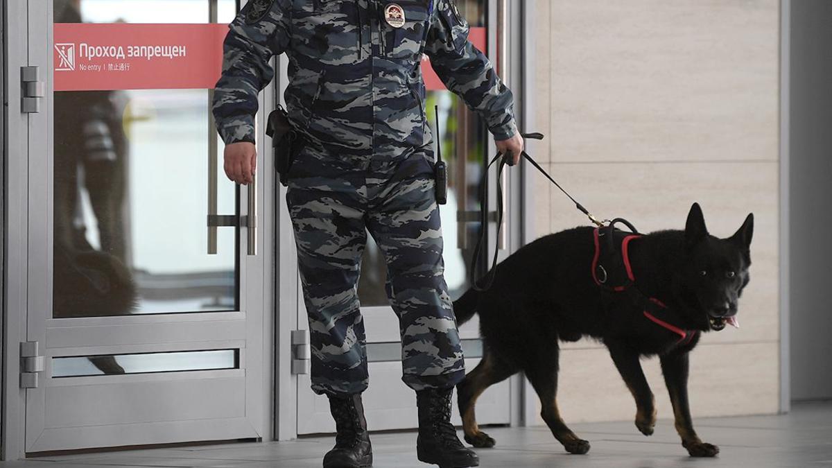 В Шереметьево вызвали полицию из-за женщины с «бомбой» в ручной клади — РБК