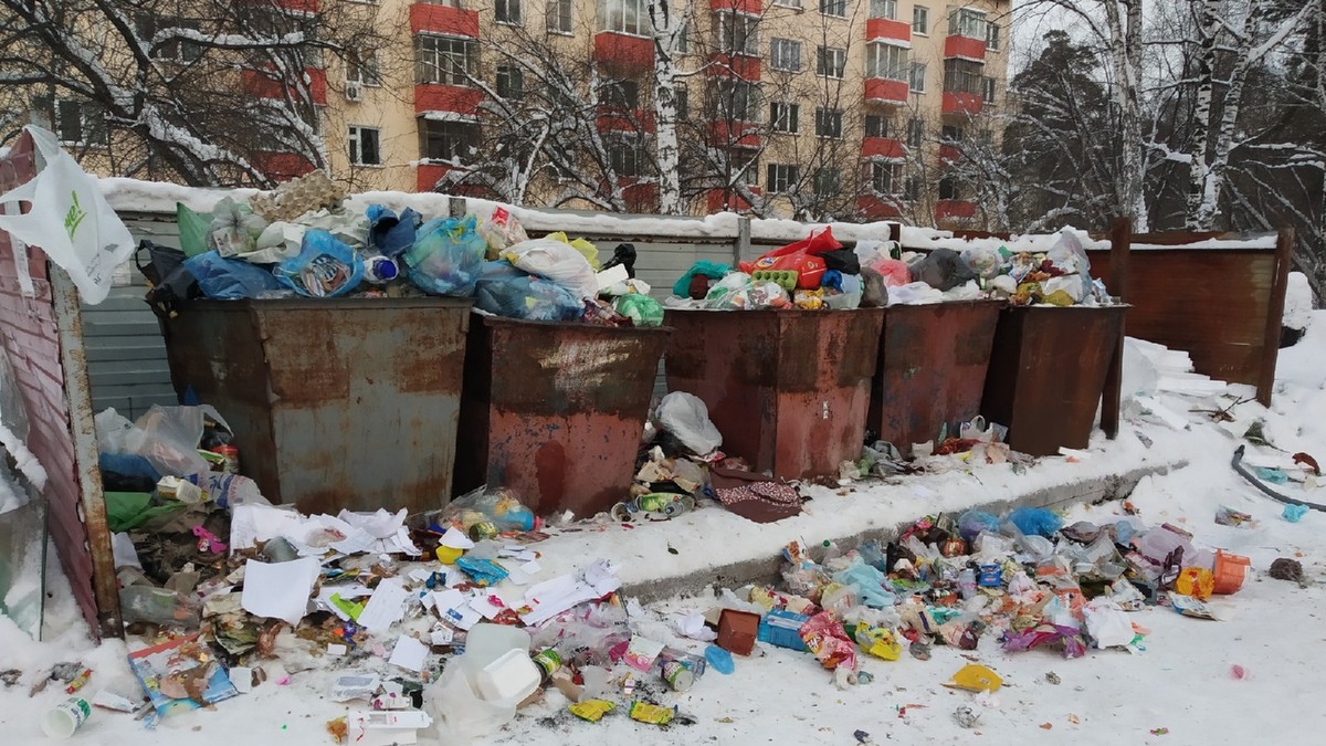 Фото: Алексей Коваленок / РБК Новосибирск