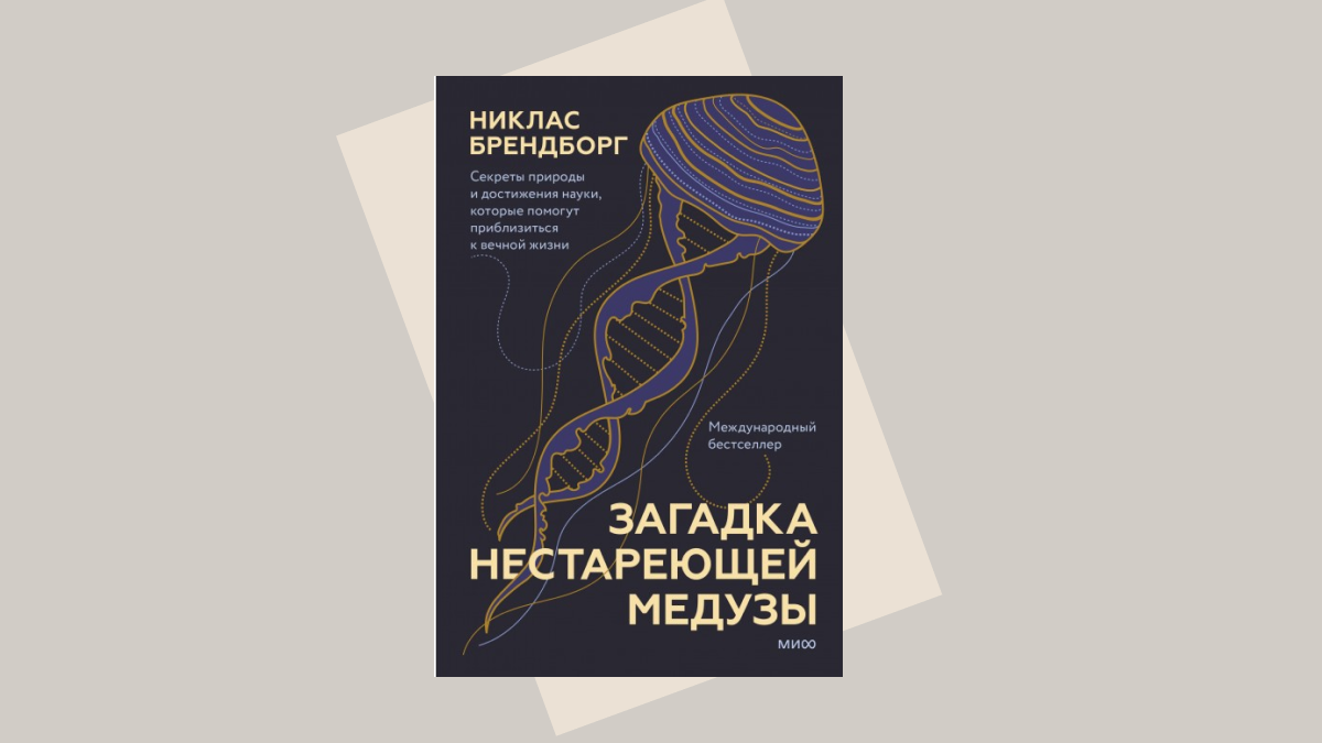 Что используют в хоккее, у еврея на уме, у женщины на теле и на шахматной доске - Загадка