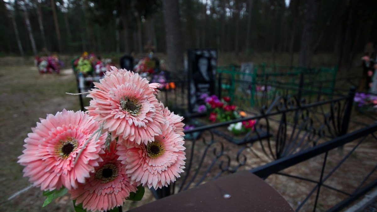 Фото: Александр Подгорчук