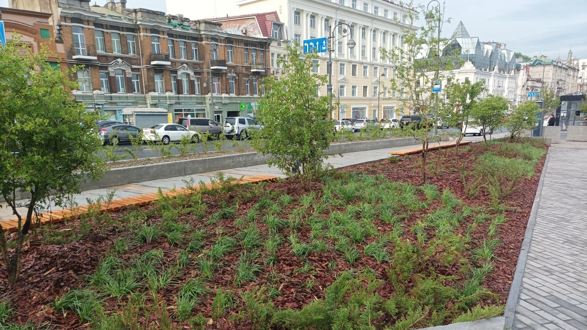 Владивосток готов предоставить бизнесу участки для благоустройства — РБК