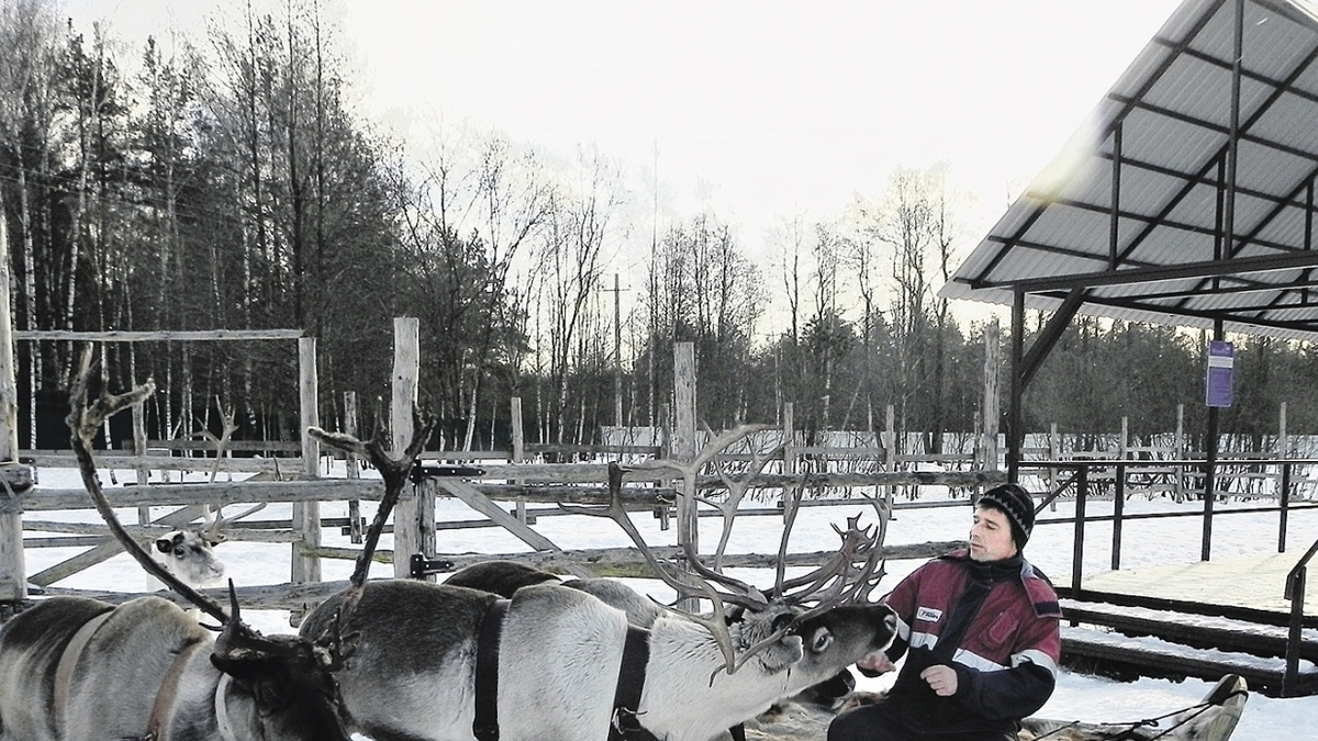 Аудио Край Кредит Новогодний Олень Аудио Край Кредит Новогодний Олень