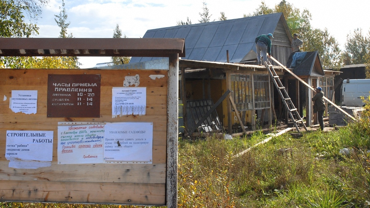 Садоводства в Ленобласти могут стать городами и поселками — РБК