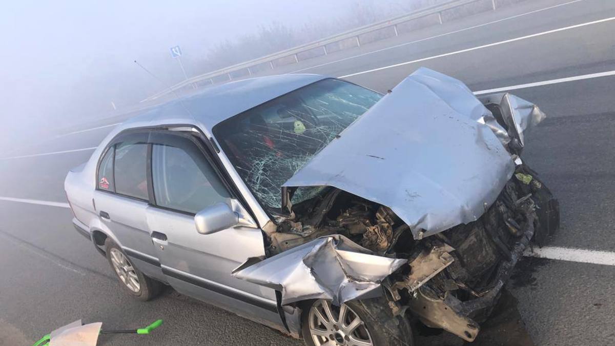 Фото: Полиция Вяземского района