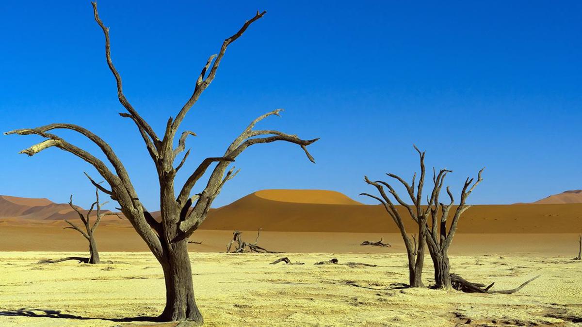 Фото: Holger Weitzel / imagebroker.com / Global Look Press