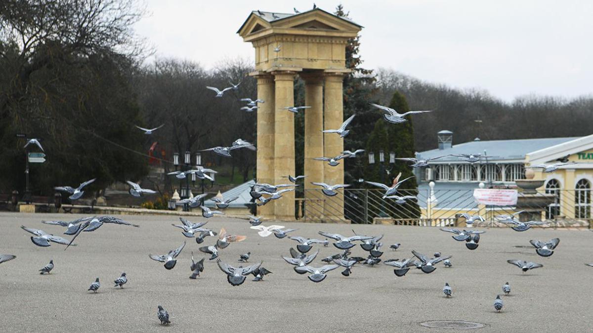 В Ставропольском крае зафиксировали землетрясение магнитудой 3,4 — РБК