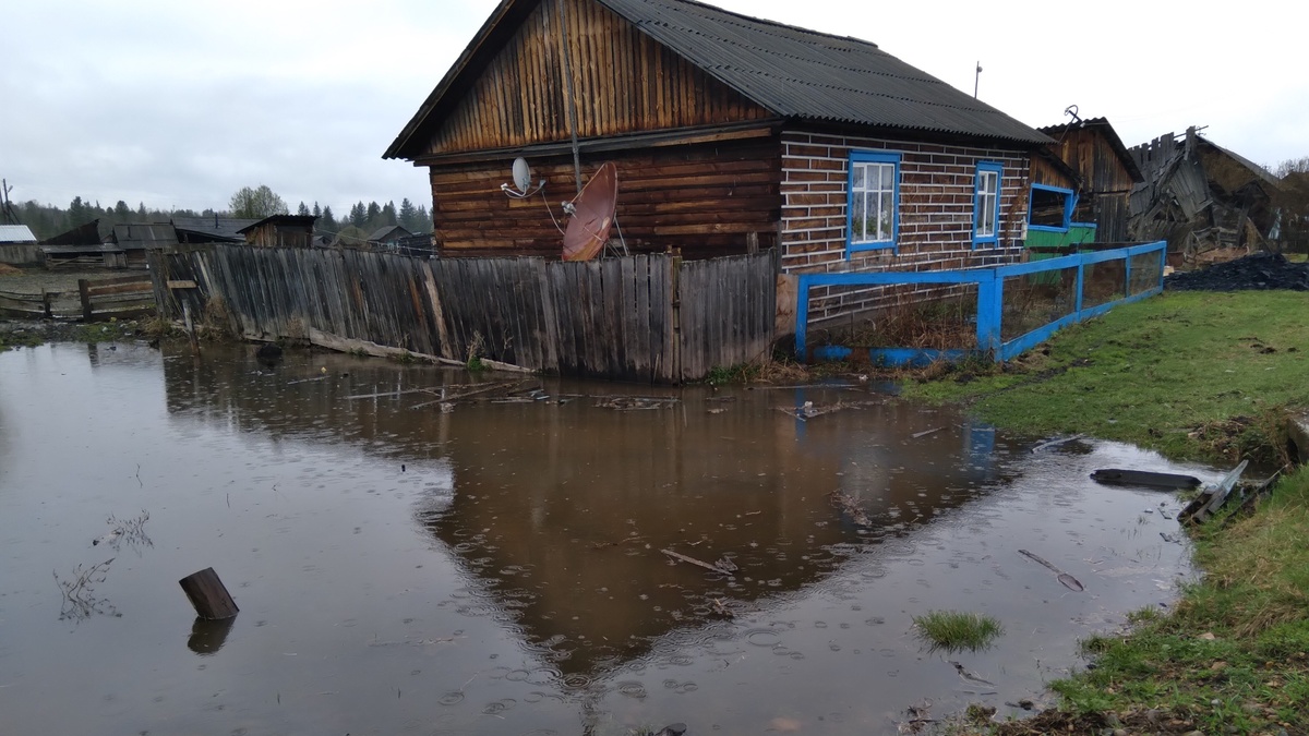 Фото: Пресс-служба ГУ МЧС по Новосибирской области