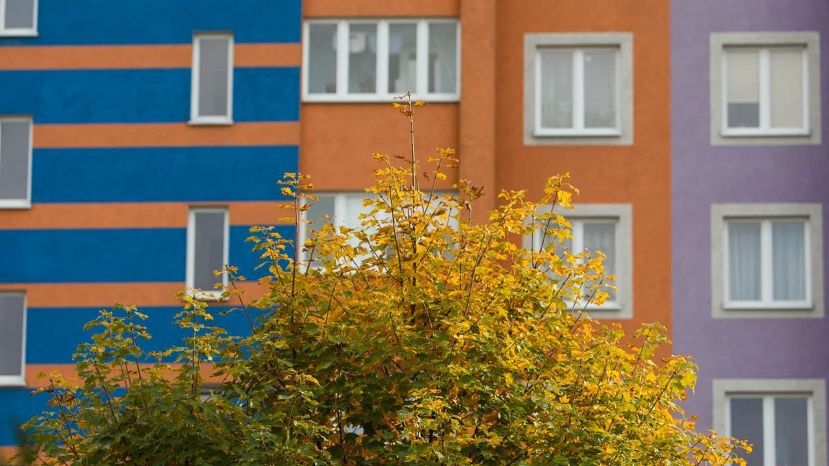 Фото: Александр Подгорчук