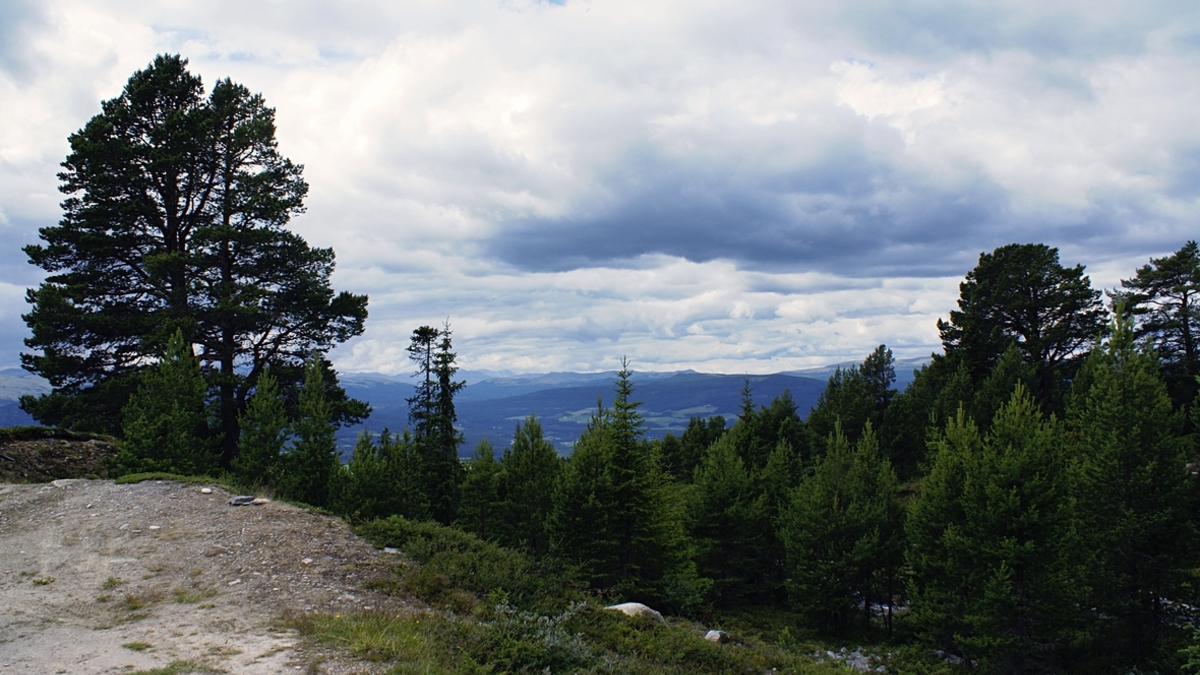 Фото: ru.freepik.com