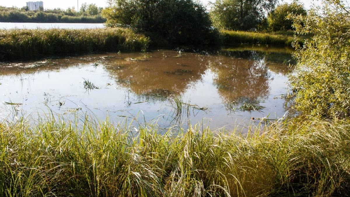 Тело блогера было обнаружено в воде 12 июля