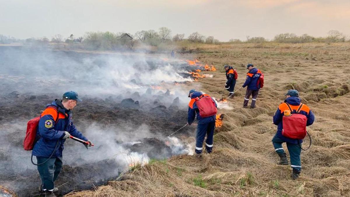 В Хабаровском крае ввели режим ЧС из-за лесных пожаров — РБК