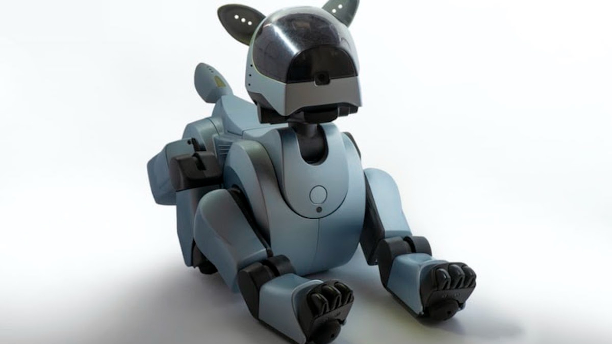 Роботы, напечатанные на 3D-принтере: самые передовые проекты 2022 года