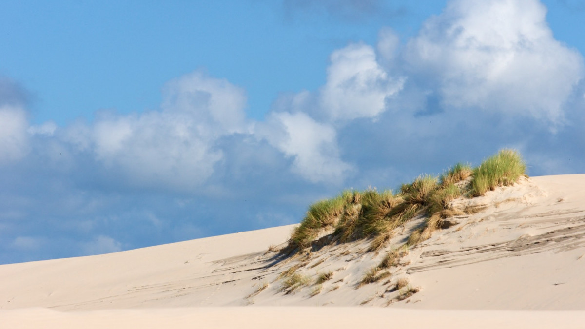 Фото: Pixabay