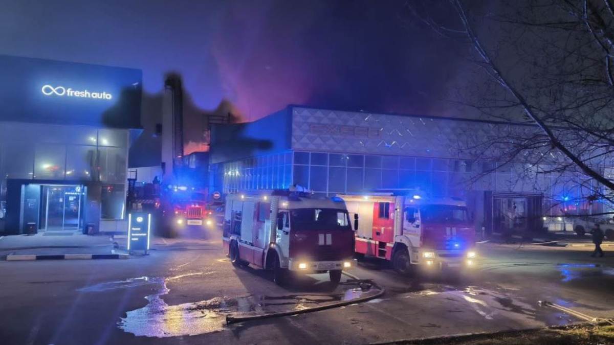 Фото: пресс-служба МЧС России по Воронежской области