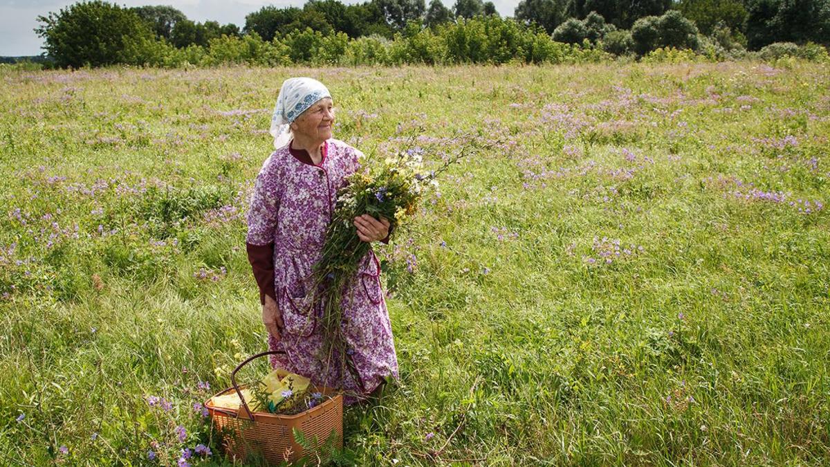 ВЦИОМ назвал наиболее популярные у россиян практики народной медицины — РБК