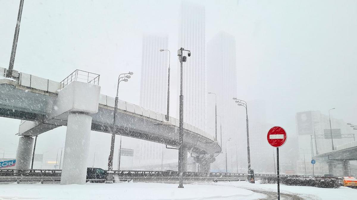 Фото: Денис Воронин / АГН «Москва»
