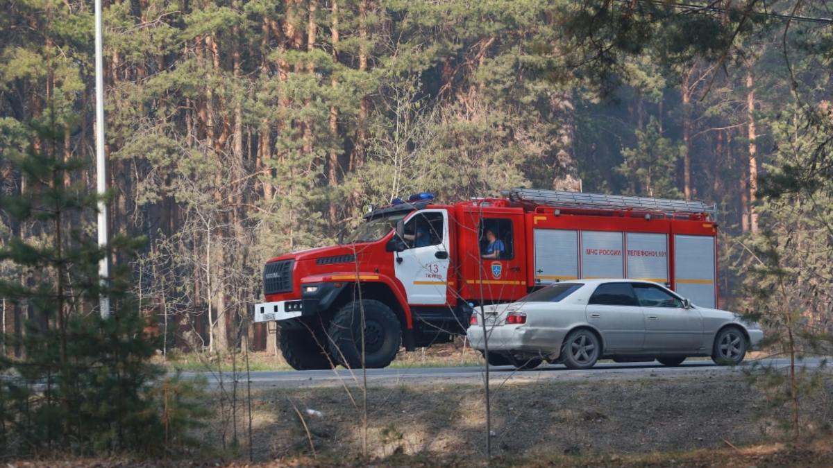 Власти разрешили тюменцам ходить в лес — РБК