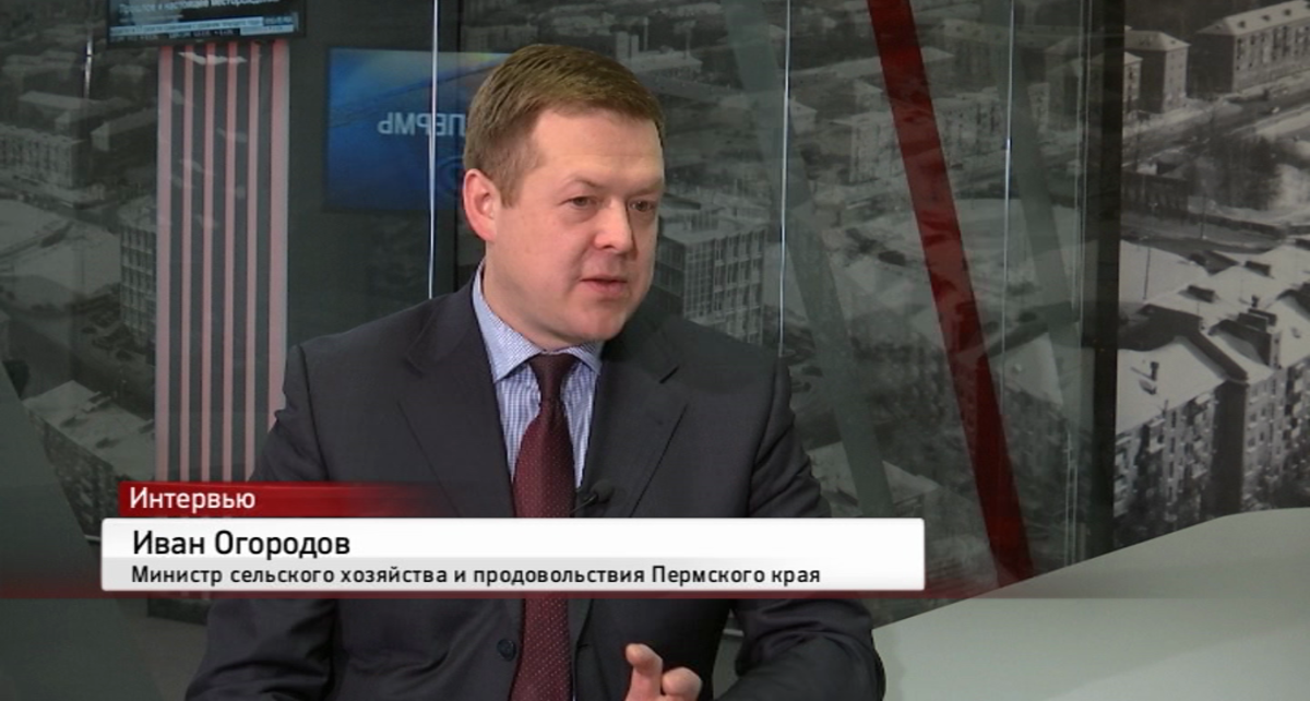 Экс-министр сельского хозяйства и продовольствия Прикамья Иван Огородов получил новую должность