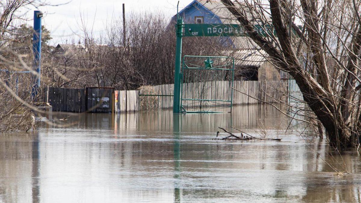 Власти предупредили о подходе воды к нескольким микрорайонам Кургана — РБК