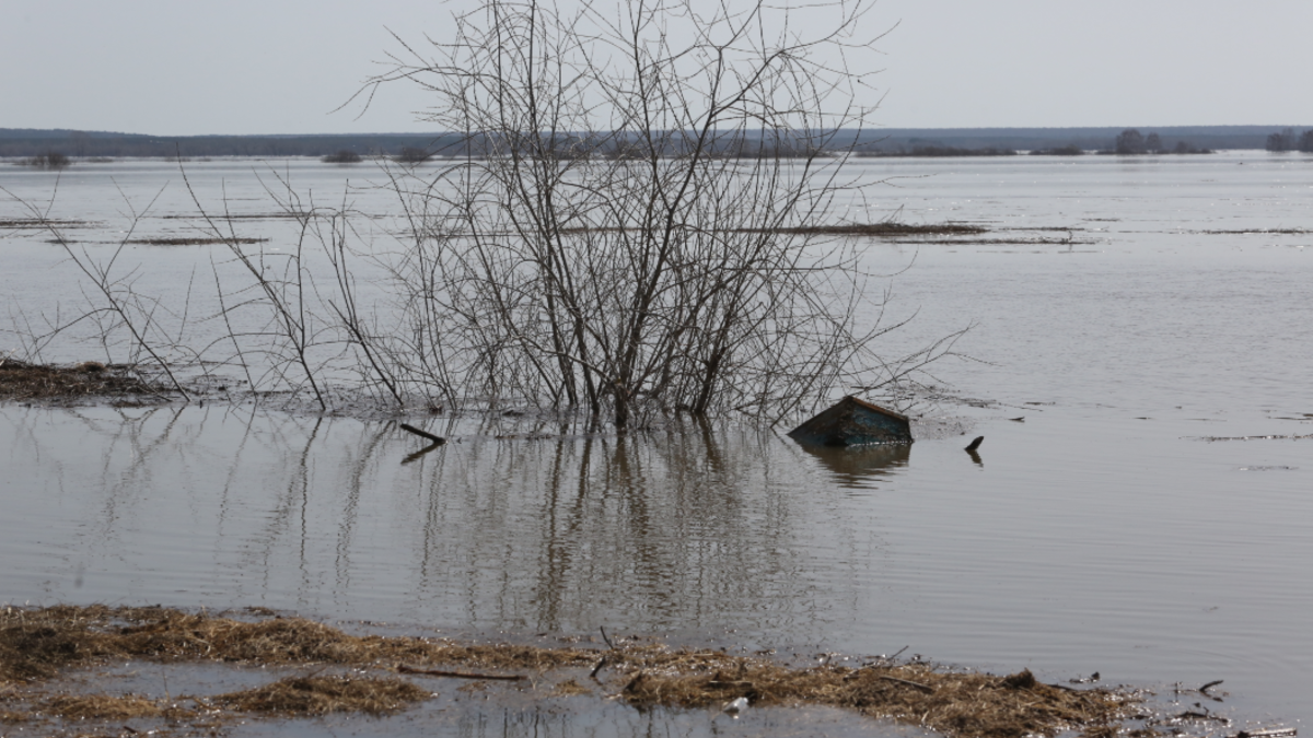 Фото: Денис Моргунов / URA.RU