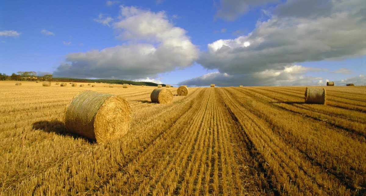 Фото: usor43.ru