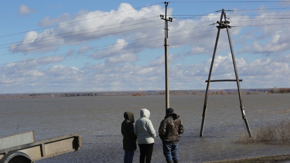 Нет хлеба и воды: в Тюменской области обострилась ситуация с паводком