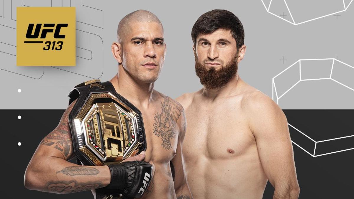 Фото: UFC