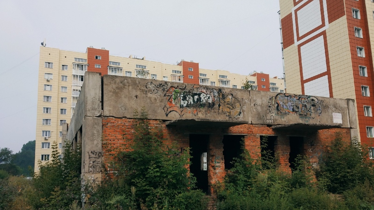 Фото носит иллюстративный характер