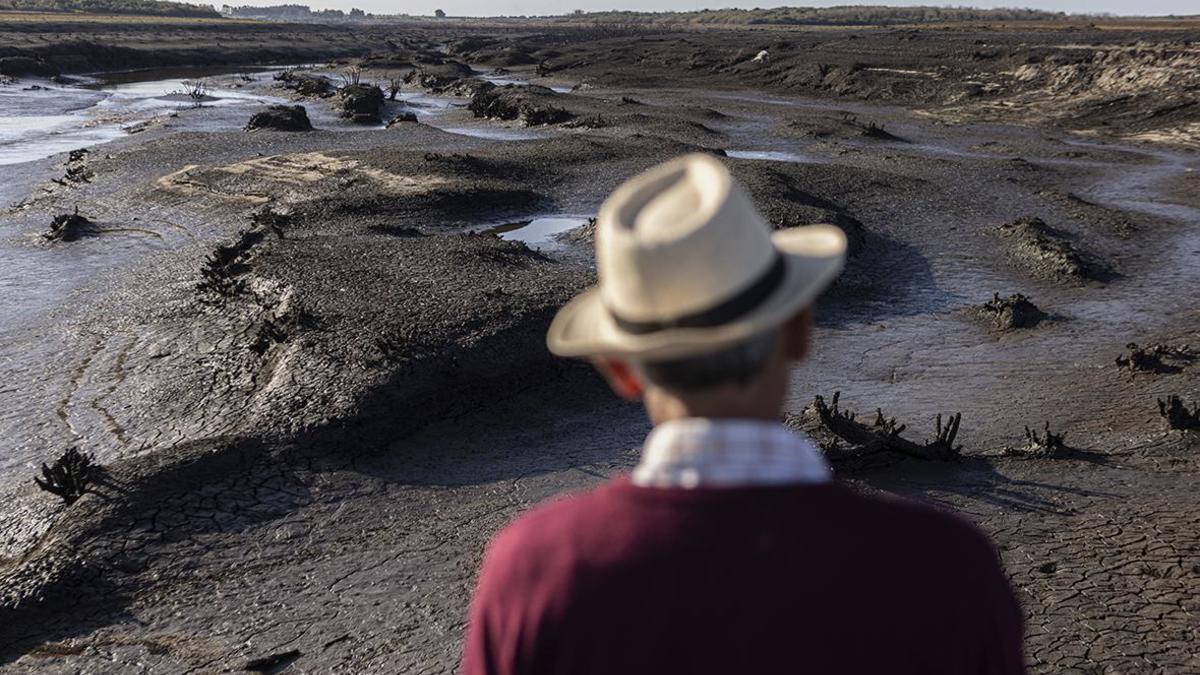Фото: Ernesto Ryan / Getty Images