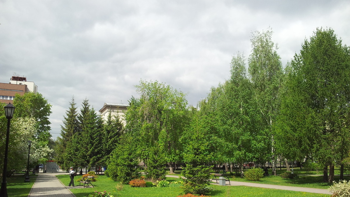 Фото: green.novo-sibirsk.ru