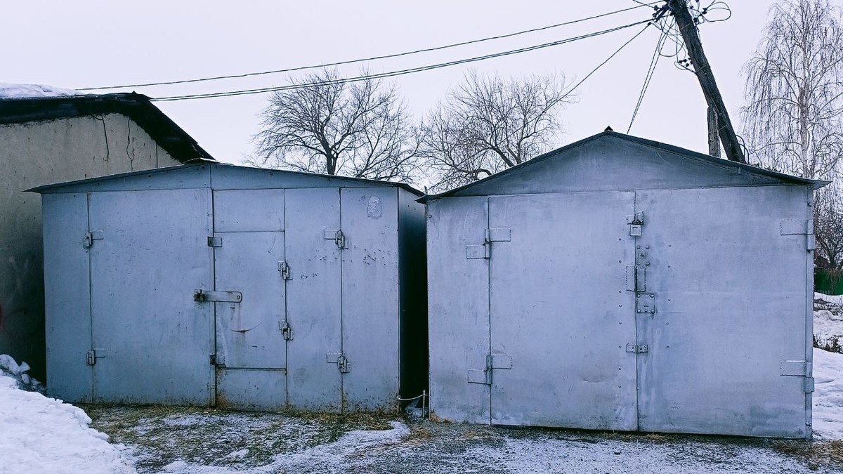 Фото: Алексей Коваленок / РБК Новосибирск