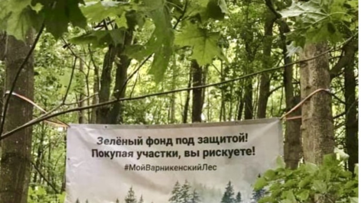 Фото: КРСОО «Зеленая волна»