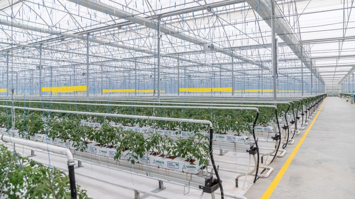 Фото: agrodinamix.com