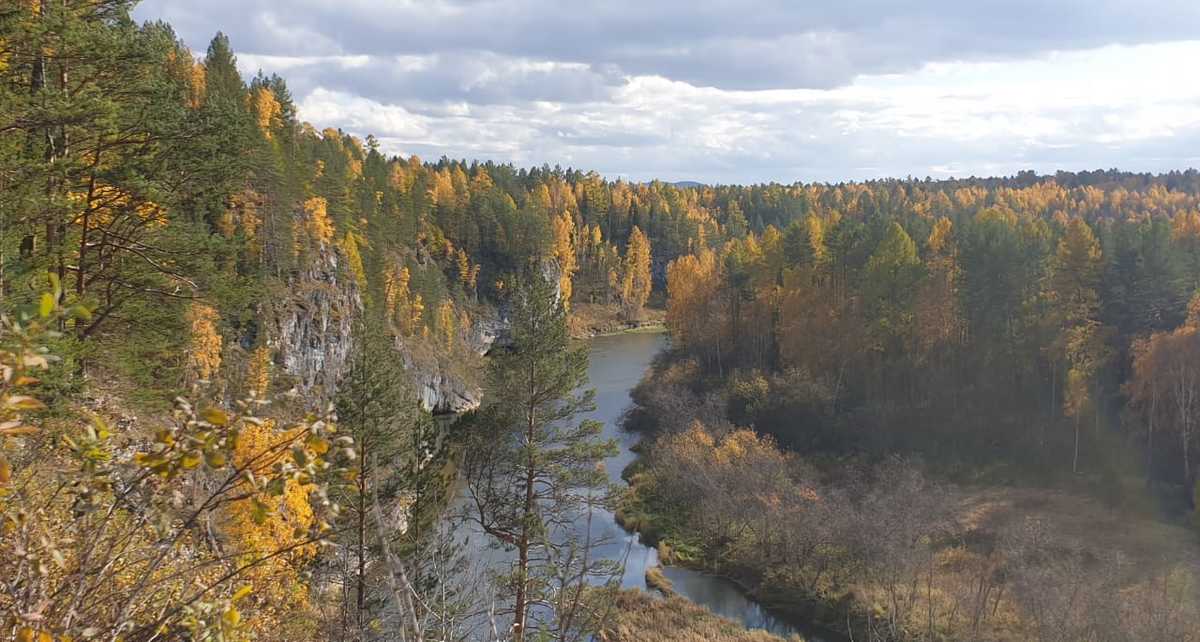 Фото: РБК Пермь